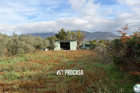 Finca i Roses, Gerona, Roses - € 110.000 | Ref: 4047 - foto 13
