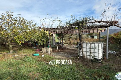 Finca i Roses, Gerona, Roses - € 110.000 | Ref: 4047 - foto 15