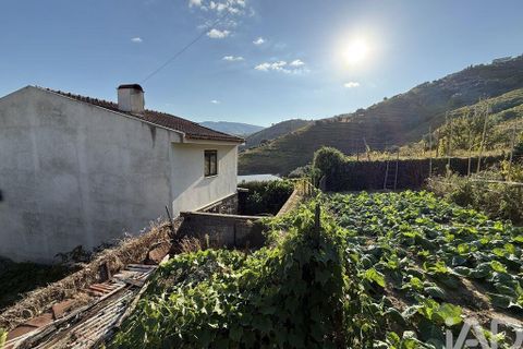 Helårsgrund i Peso da Regua, Vila Real, Peso da Regua - € 95.500 | Ref: 748245 - foto 19