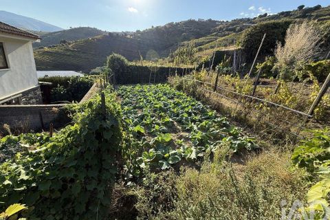 Helårsgrund i Peso da Regua, Vila Real, Peso da Regua - € 95.500 | Ref: 748245 - foto 20
