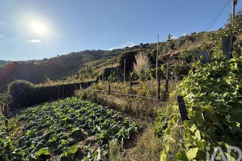 Helårsgrund i Peso da Regua, Vila Real, Peso da Regua - € 95.500 | Ref: 748245 - foto 21