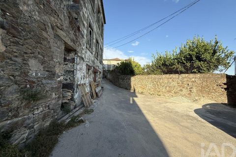 Helårsgrund i Peso da Regua, Vila Real, Peso da Regua - € 95.500 | Ref: 748245 - foto 24
