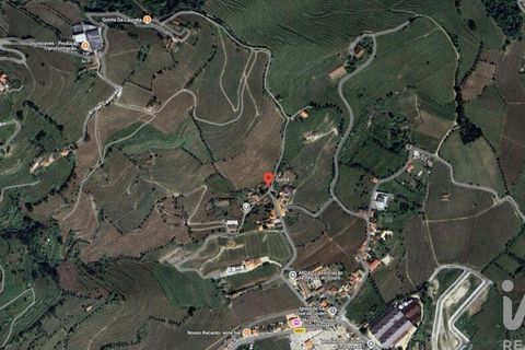 Helårsgrund i Peso da Regua, Vila Real, Peso da Regua - € 95.500 | Ref: 748245 - foto 27
