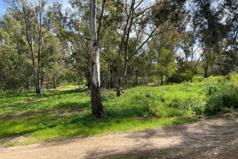 Terra a Alvor, Faro, Alvor - € 525.000 | Ref: FC1067VCZ - foto 6