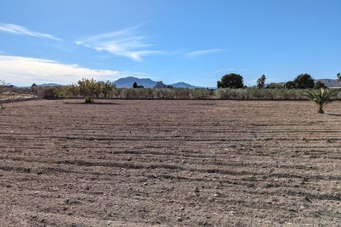 Landejendom i Sax, Alicante, Sax - € 350.000 | Ref: Casa Seca - foto 22