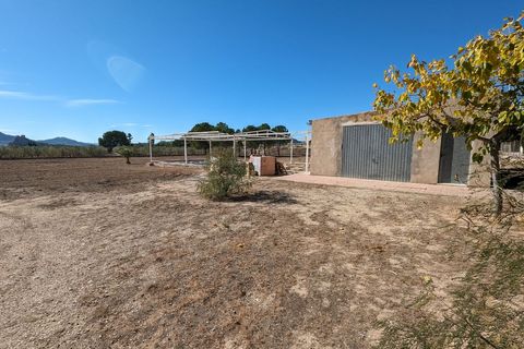 Landejendom i Sax, Alicante, Sax - € 350.000 | Ref: Casa Seca - foto 18