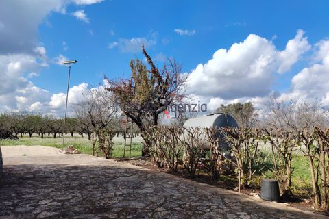 Villa a Latiano, Brindisi, Latiano - € 500.000 | Ref: 222983 - foto 9