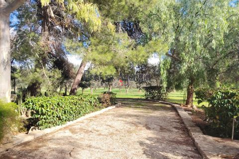 Villa a Latiano, Brindisi, Latiano - € 500.000 | Ref: 222983 - foto 21