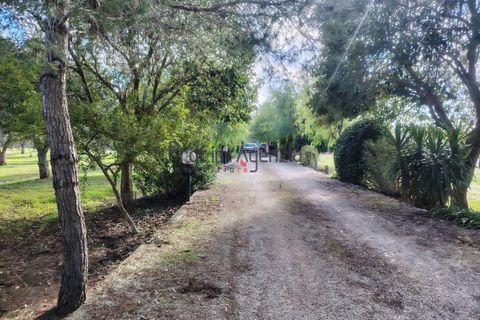Villa a Latiano, Brindisi, Latiano - € 500.000 | Ref: 222983 - foto 23
