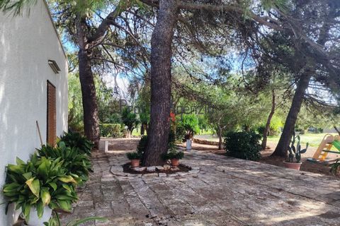 Villa a Latiano, Brindisi, Latiano - € 500.000 | Ref: 222983 - foto 10