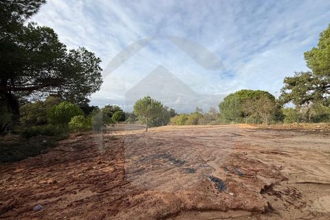 Helårsgrund i Almancil, Faro, Almancil - € 1.250.000 | Ref: TER_851 - foto 15