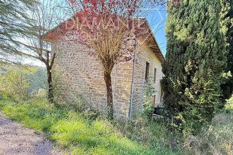 Farm i Gubbio, Perugia, Gubbio - € 750.000 | Ref: AZ386 - foto 3