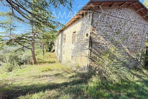Farm i Gubbio, Perugia, Gubbio - € 750.000 | Ref: AZ386 - foto 4