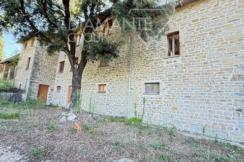 Farm i Gubbio, Perugia, Gubbio - € 750.000 | Ref: AZ386 - foto 5