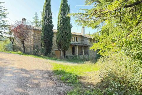 Farm i Gubbio, Perugia, Gubbio - € 750.000 | Ref: AZ386 - foto 6