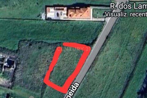 Helårsgrund i Ericeira, Lisbon, Ericeira - € 265.000 | Ref: C0283-01150 - foto 13