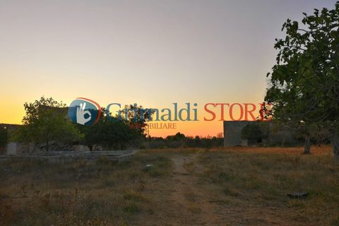 Villa i Lecce, Lecce, Lecce - € 499.000 | Ref: 575Monteroni - foto 14
