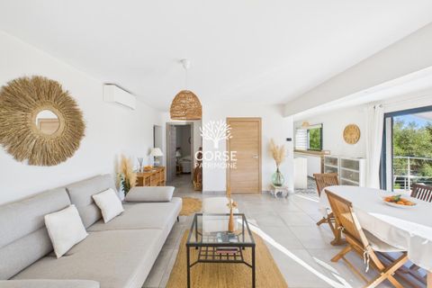 Villa i Porto-Vecchio, Corse-du-Sud, Porto-Vecchio - € 930.000 | Ref: M2913 - foto 4