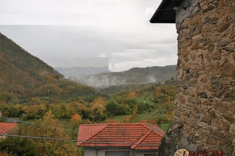 Landejendom i Bagnone, Massa and Carrara, Bagnone - € 22.000 | Ref: A480 - foto 1
