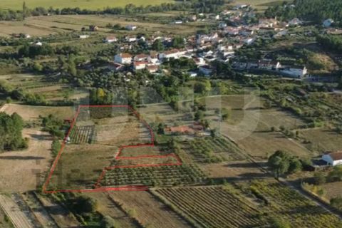 Terra a Orjais, Castelo Branco, Orjais - € 99.500 | Ref: UNU.I.2181.12348 - foto 2