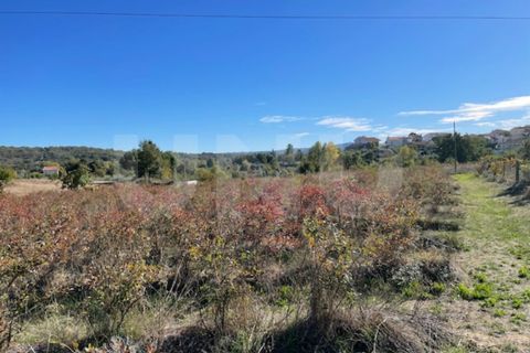 Terra a Orjais, Castelo Branco, Orjais - € 99.500 | Ref: UNU.I.2181.12348 - foto 3
