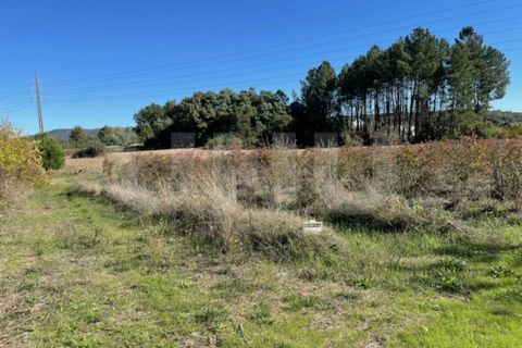 Terra a Orjais, Castelo Branco, Orjais - € 99.500 | Ref: UNU.I.2181.12348 - foto 4