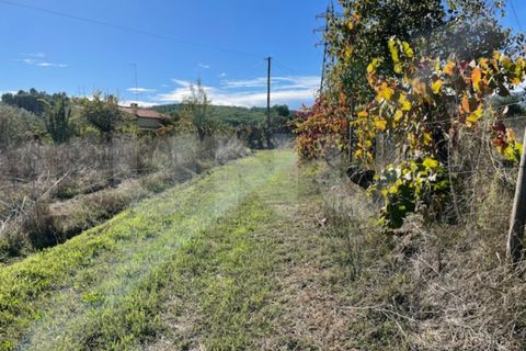 Terra a Orjais, Castelo Branco, Orjais - € 99.500 | Ref: UNU.I.2181.12348 - foto 10