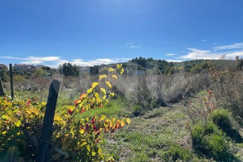 Terra a Orjais, Castelo Branco, Orjais - € 99.500 | Ref: UNU.I.2181.12348 - foto 12