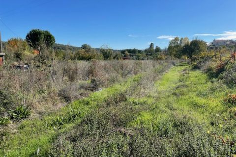 Terra a Orjais, Castelo Branco, Orjais - € 99.500 | Ref: UNU.I.2181.12348 - foto 14