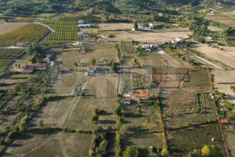 Terra a Orjais, Castelo Branco, Orjais - € 99.500 | Ref: UNU.I.2181.12348 - foto 21