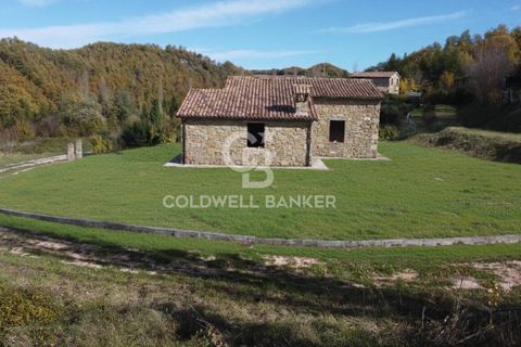 Landejendom i Apecchio, Pesaro and Urbino, Apecchio - € 139.000 | Ref: CBI160-2553-149 - foto 3
