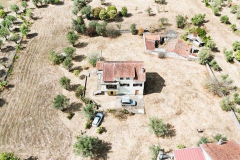 Villa a Nelas, Viseu, Nelas - € 190.000 | Ref: SF-SAFTI:007188 - foto 13