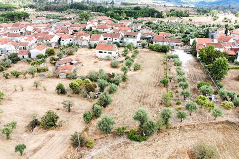 Villa a Nelas, Viseu, Nelas - € 190.000 | Ref: SF-SAFTI:007188 - foto 18