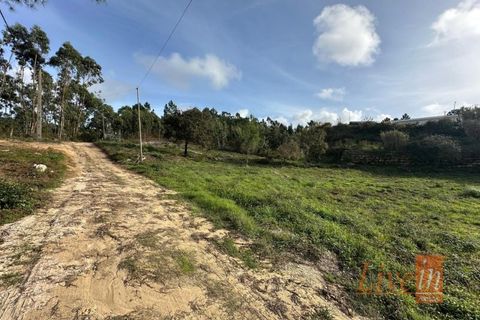 Helårsgrund i Mafra, Lisbon, Mafra - € 195.000 | Ref: 9860AE - foto 3