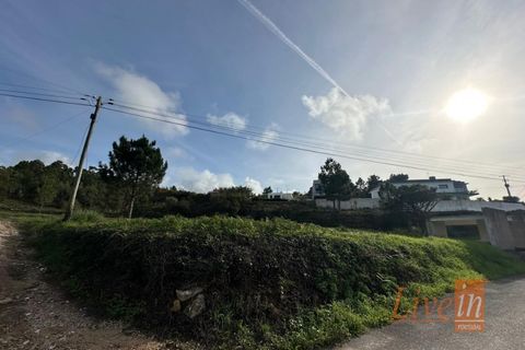 Helårsgrund i Mafra, Lisbon, Mafra - € 195.000 | Ref: 9860AE - foto 6
