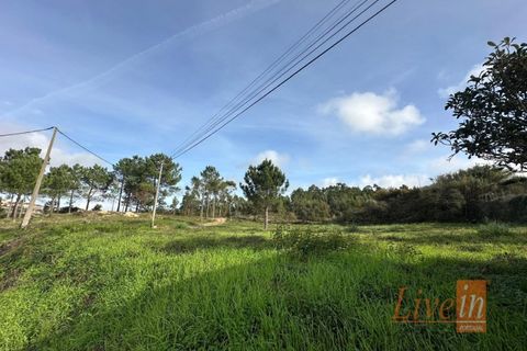 Helårsgrund i Mafra, Lisbon, Mafra - € 195.000 | Ref: 9860AE - foto 8