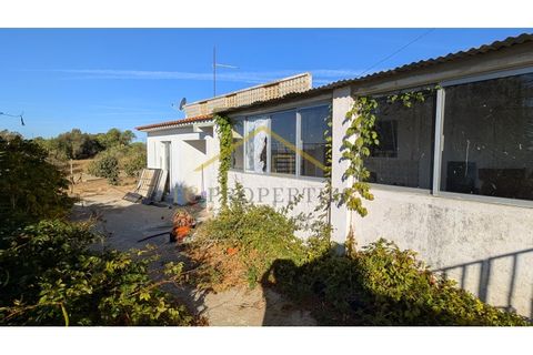 Landejendom i Moncarapacho, Faro, Moncarapacho - € 1.500.000 | Ref: CAS_121 - foto 7