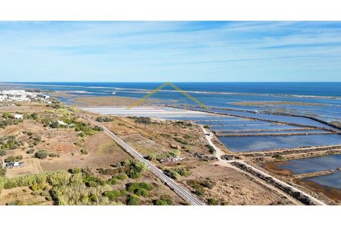 Landejendom i Moncarapacho, Faro, Moncarapacho - € 1.500.000 | Ref: CAS_121 - foto 17