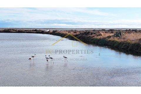 Landejendom i Moncarapacho, Faro, Moncarapacho - € 1.500.000 | Ref: CAS_121 - foto 19