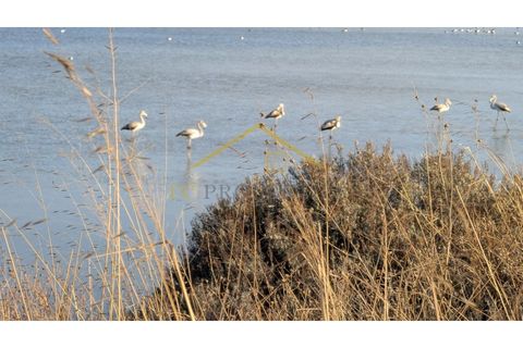 Landejendom i Moncarapacho, Faro, Moncarapacho - € 1.500.000 | Ref: CAS_121 - foto 20