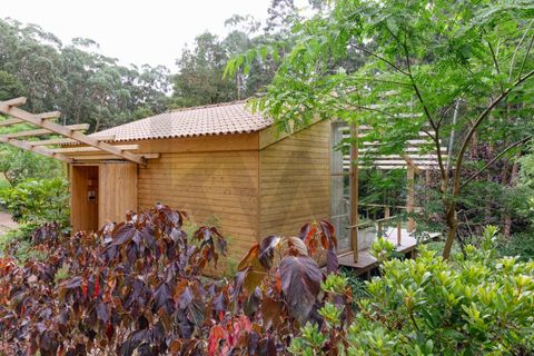 Erhvervsejendom i Velas, Sao Jorge, Velas - € 4.750.000 | Ref: KWPT-024131 - foto 15