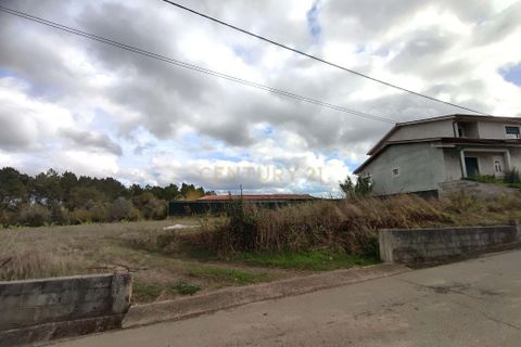 Terra a Condeixa-a-Nova, Coimbra, Condeixa-a-Nova - € 60.000 | Ref: C0396-00851 - foto 11