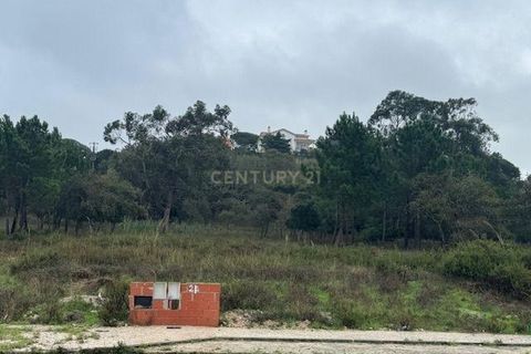 Helårsgrund i Caldas da Rainha, Leiria, Caldas da Rainha - € 160.000 | Ref: 1739-02211 - foto 3