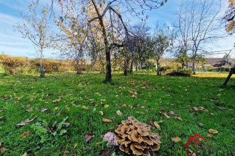 Landejendom i Terre-Natale, Haute-Marne, Terre-Natale - € 85.000 | Ref: 62_777 - foto 2