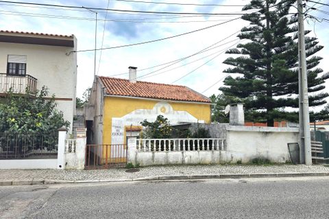 Villa i Nazare, Leiria, Nazare - € 170.000 | Ref: 1739-02219 - foto 3