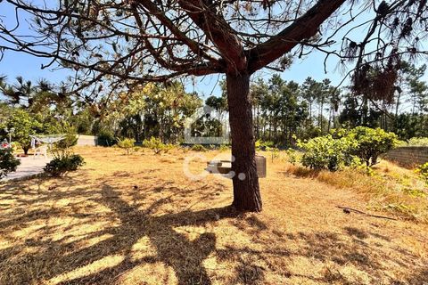 Villa i Leiria, Leiria, Leiria - € 445.000 | Ref: 235/M/01650 - foto 6