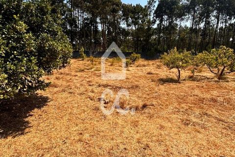 Villa i Leiria, Leiria, Leiria - € 445.000 | Ref: 235/M/01650 - foto 44