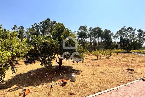 Villa i Leiria, Leiria, Leiria - € 445.000 | Ref: 235/M/01650 - foto 42