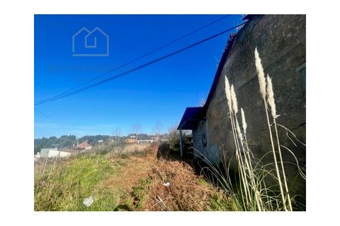 Terra a Grijo, Porto, Grijo - € 190.000 | Ref: TER_2660 - foto 4