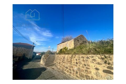 Terra a Grijo, Porto, Grijo - € 190.000 | Ref: TER_2660 - foto 5